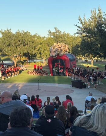 State Farm Insurance – Nanette McCelland-Miller