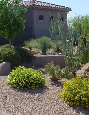 Aloha Irrigation and Landscape