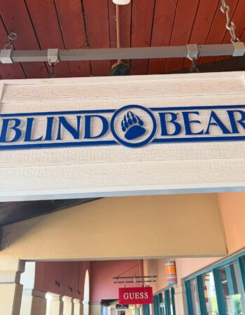 Blind Bear