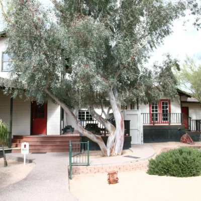 Quality Interactive Anthem Montessori