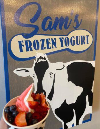 Sam’s Frozen Yogurt