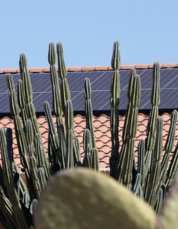 Rain Man Roofing & Waterproofing Services