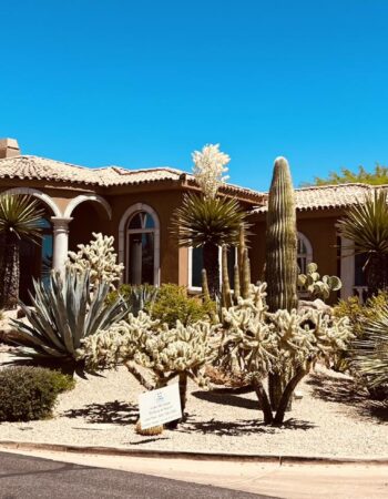 Color Me Happy Painting & Repair