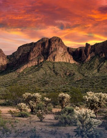 Reliance Heating and Air Conditioning