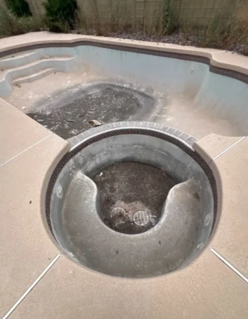 North Phoenix Pool Service