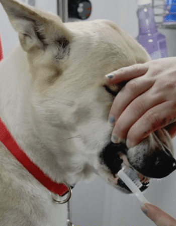 Kontota of Scottsdale