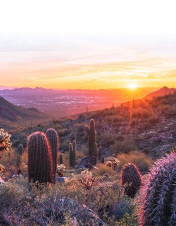 Reliance Heating and Air Conditioning