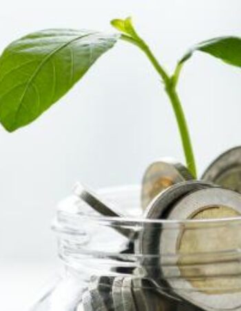 Hasslacher Tax & Financial