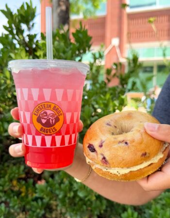 Einstein Bros. Bagels