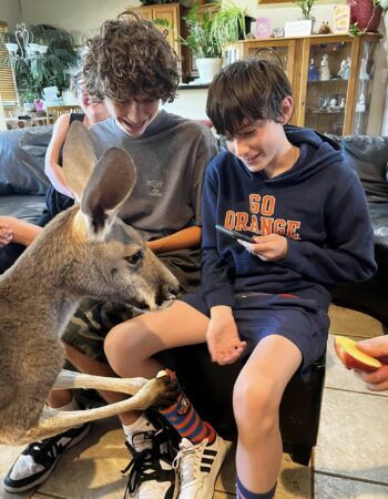 G’Day Mate Home Services