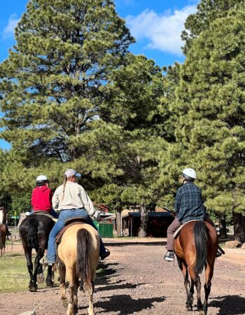 High Mountain Trail Rides