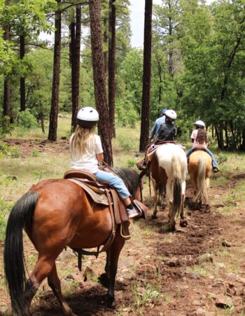 High Mountain Trail Rides