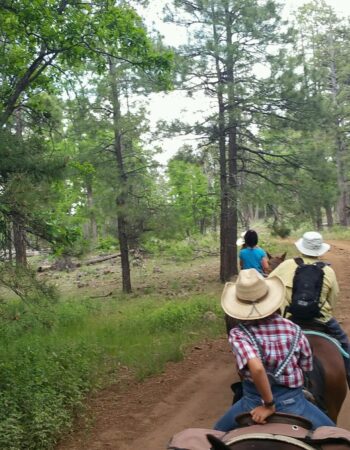 High Mountain Trail Rides