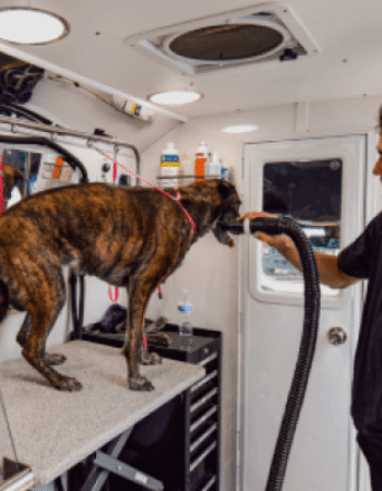 Kontota of Scottsdale