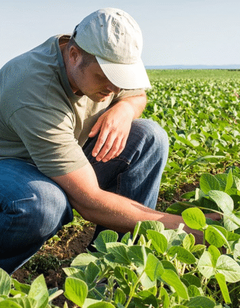 American Family Insurance – Thaddeus Pelligreen Agency