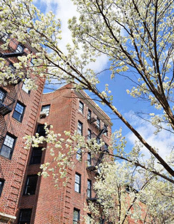 American Family Insurance – Thaddeus Pelligreen Agency