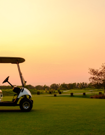 North Valley Cart Care