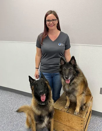 Dog Training Elite Phoenix