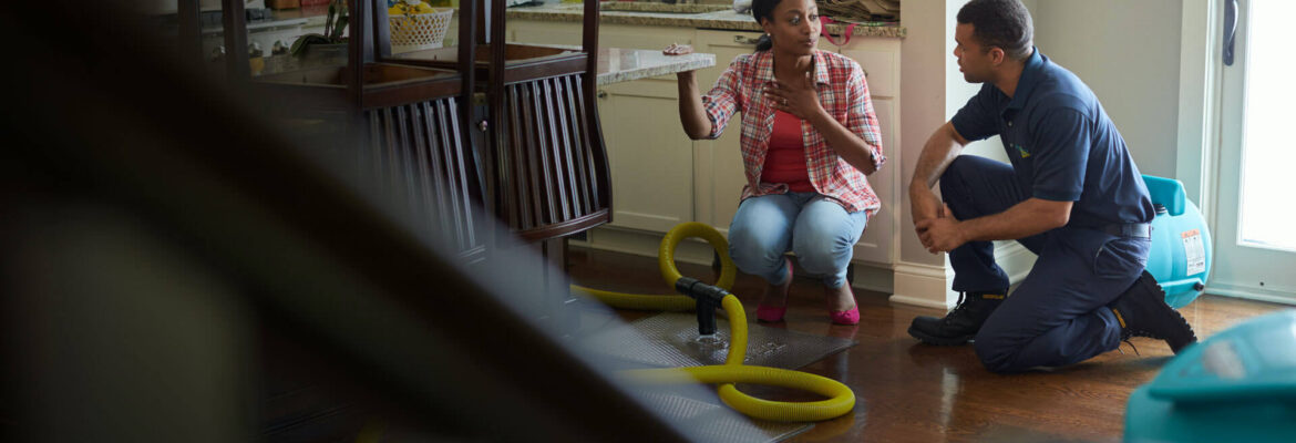 ServiceMaster Restoration by Desert Dry