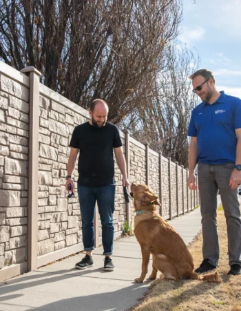 Dog Training Elite Phoenix