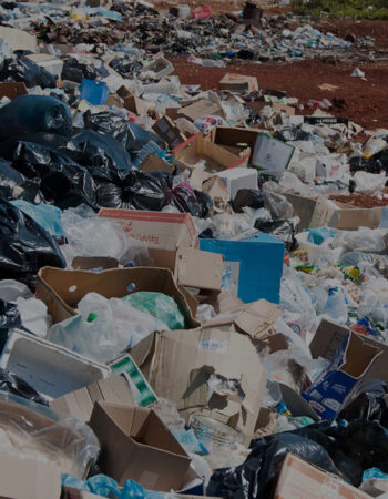 Sonoran Ranch Services