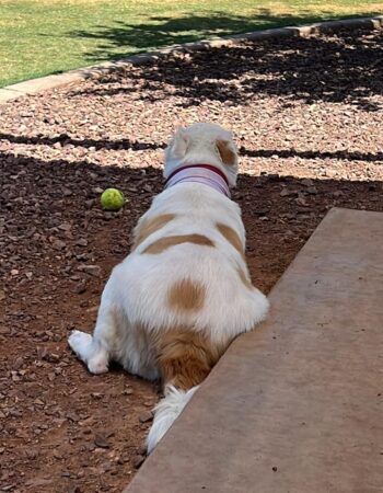 Jennifer ‘RedJen’ Merrill, Realty Executives