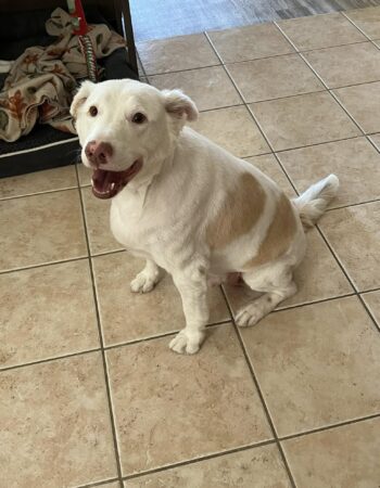 Jennifer ‘RedJen’ Merrill, Realty Executives