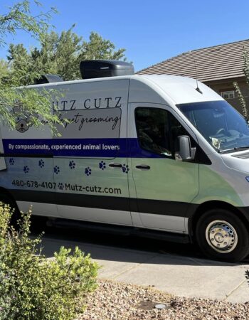 Jennifer ‘RedJen’ Merrill, Realty Executives