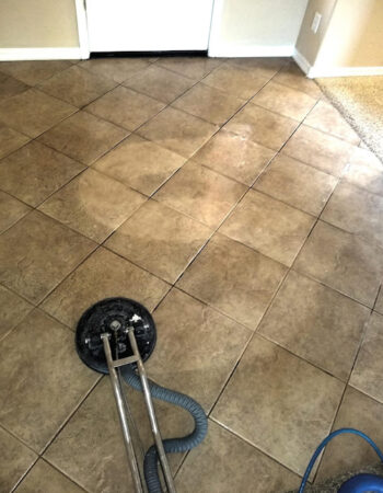 Squeaky Clean Carpet Tile Stone