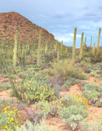 Crossroads Christian Fellowship