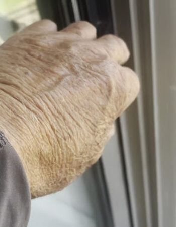 Phoenix Sliding Doors